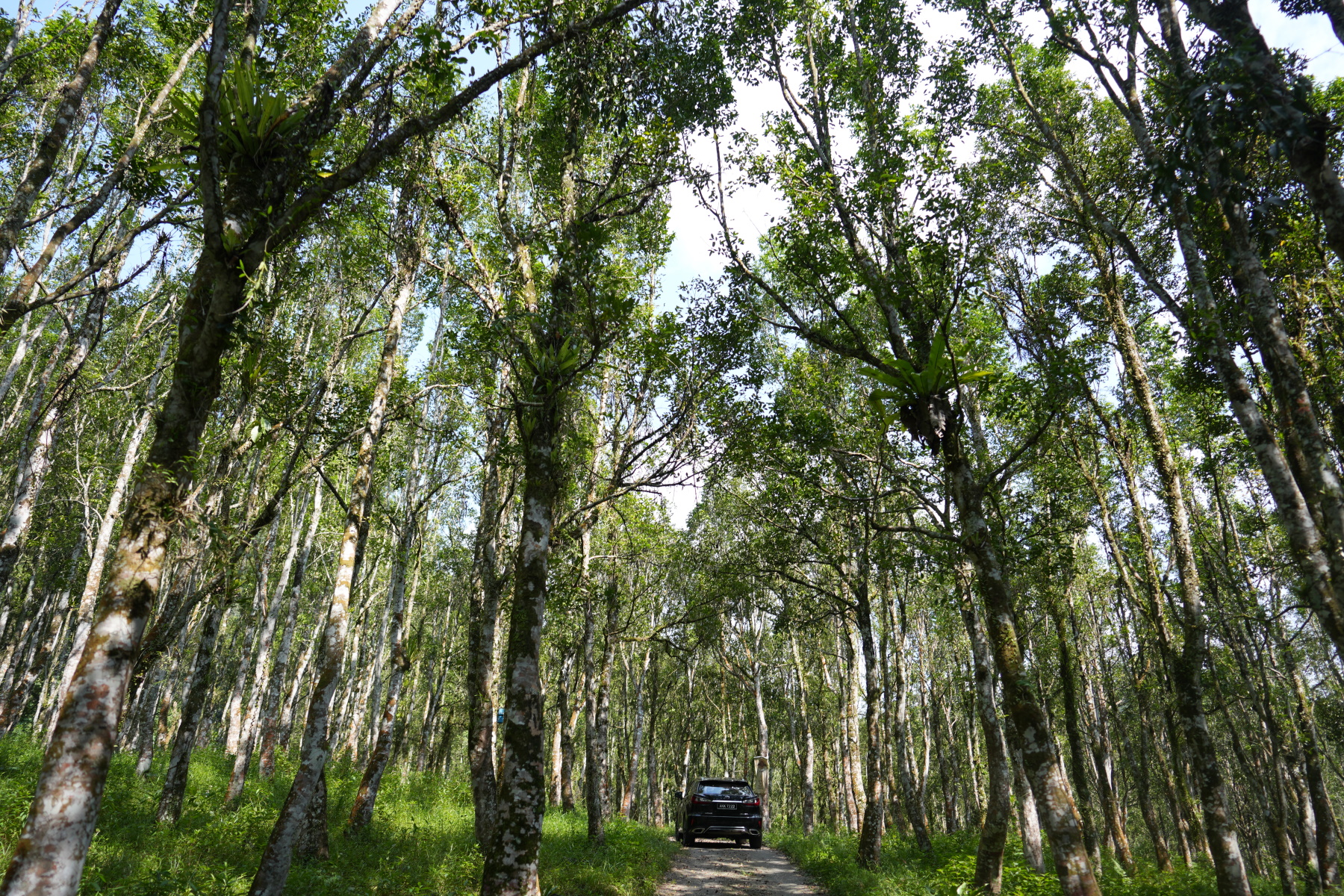 himg_bolathon_2022_DSC02373