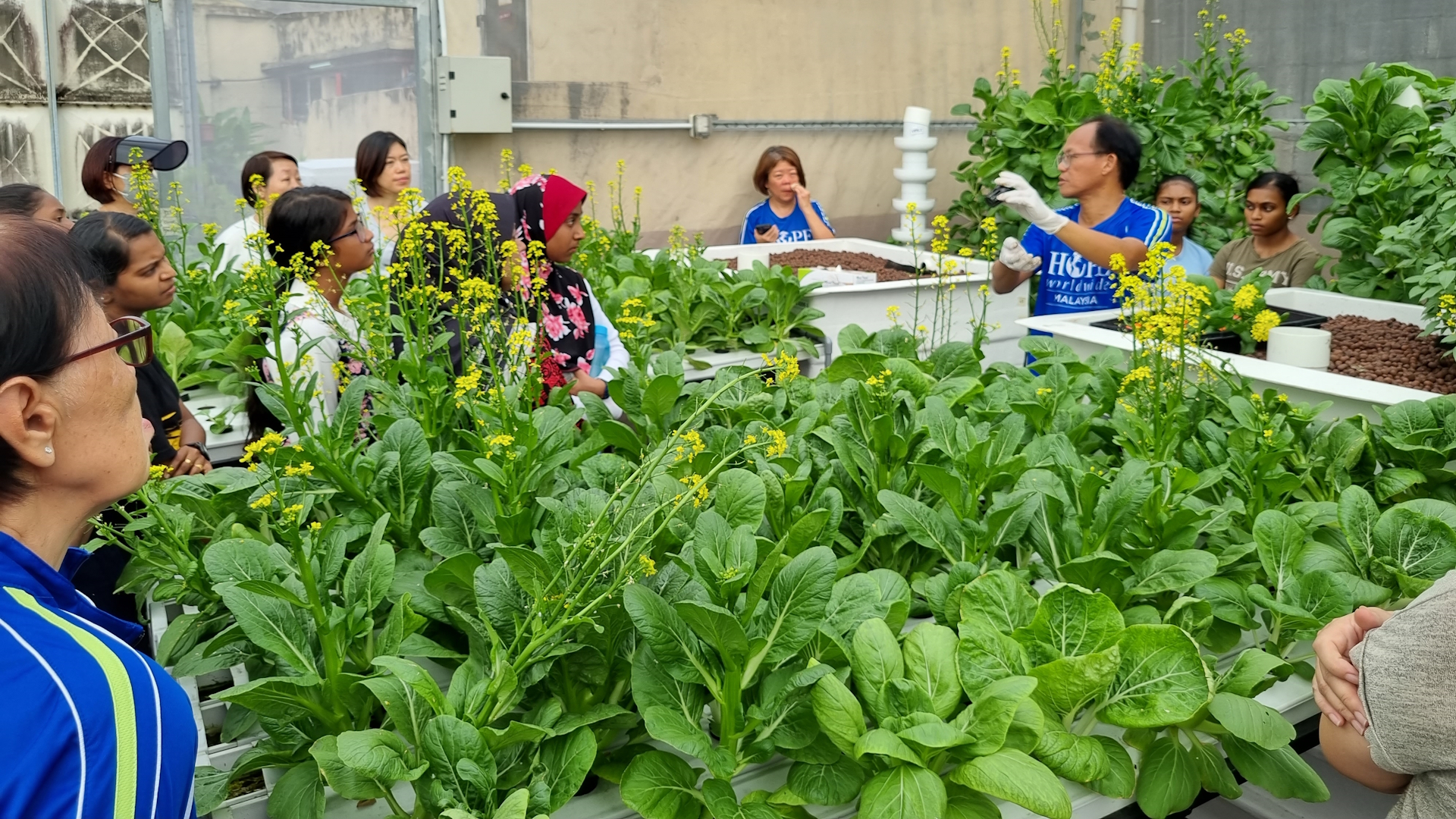Sustainable Green Urban Farm