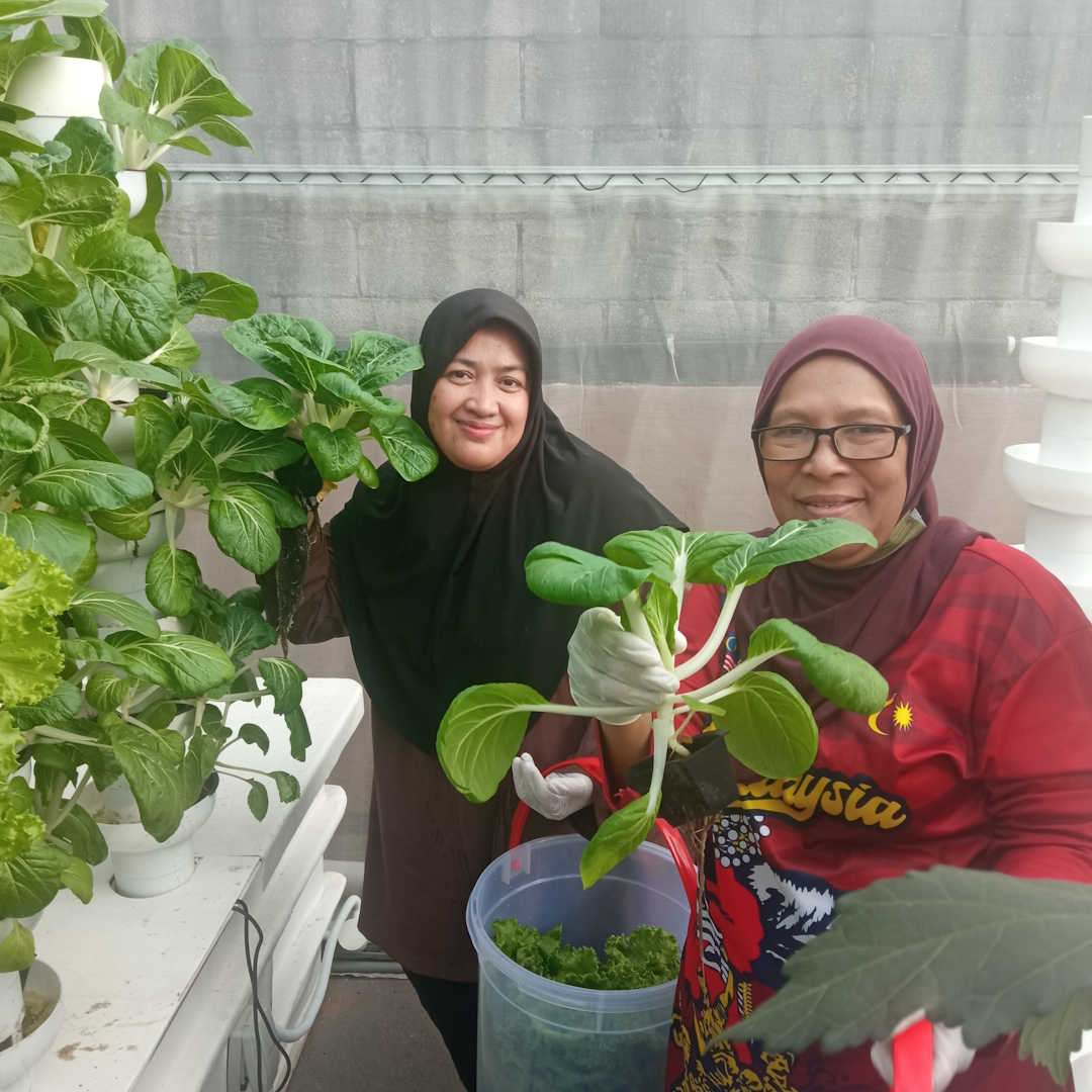 img_SustainableGreen02