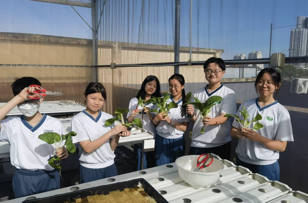 Fresh from the Urban Farm: Students Harvest for Families in Need