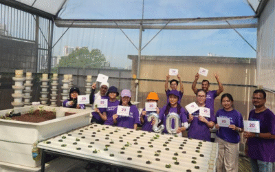 Growing Goodness: Celebrating 20 Years of Impact with Franklin Templeton
